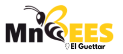 MnBees Gafsa - El Guettar